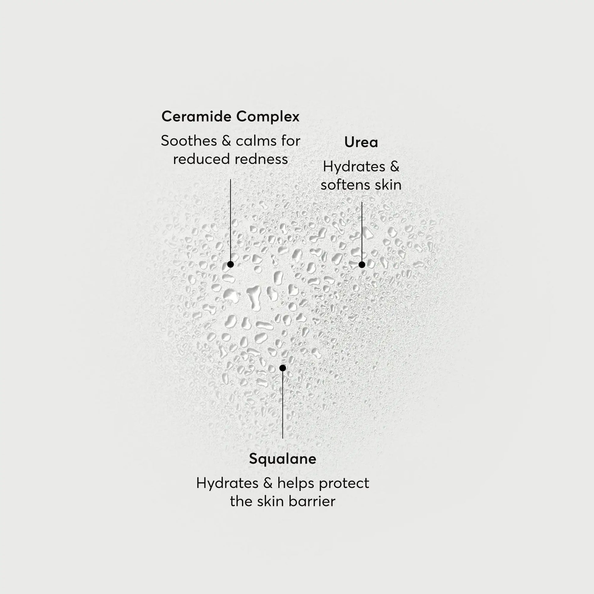 barrier-bounce-bi-phase-mist-w4 NATR-10167-Alt-Images-Barrier-Bounce-Bi-Phase-Toner-Mist_01.webp